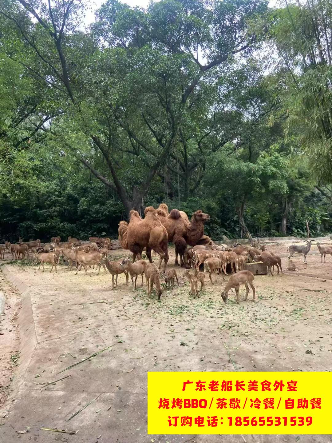 微信图片_20260223102011_589_17