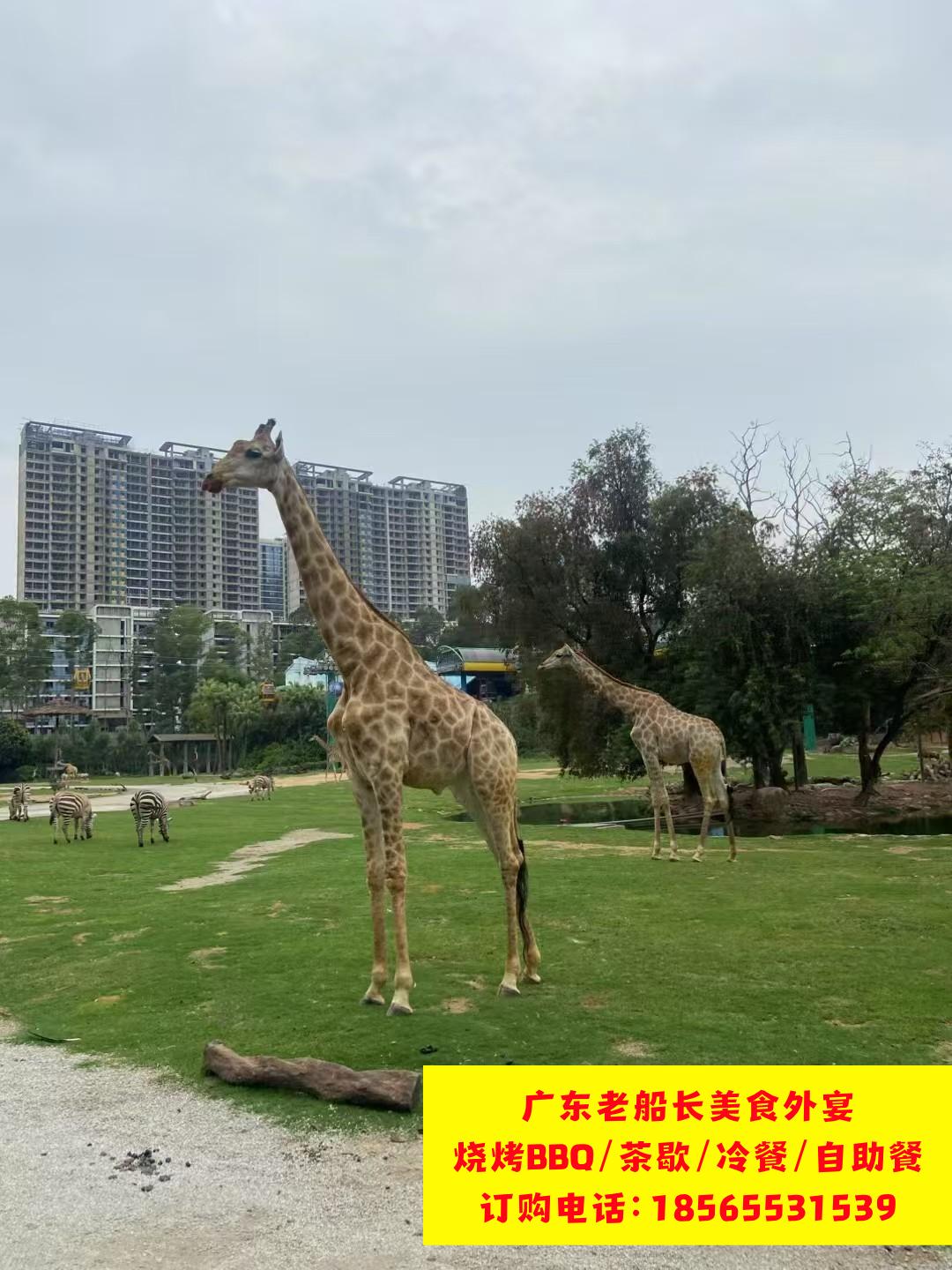 微信图片_20260223102015_590_17