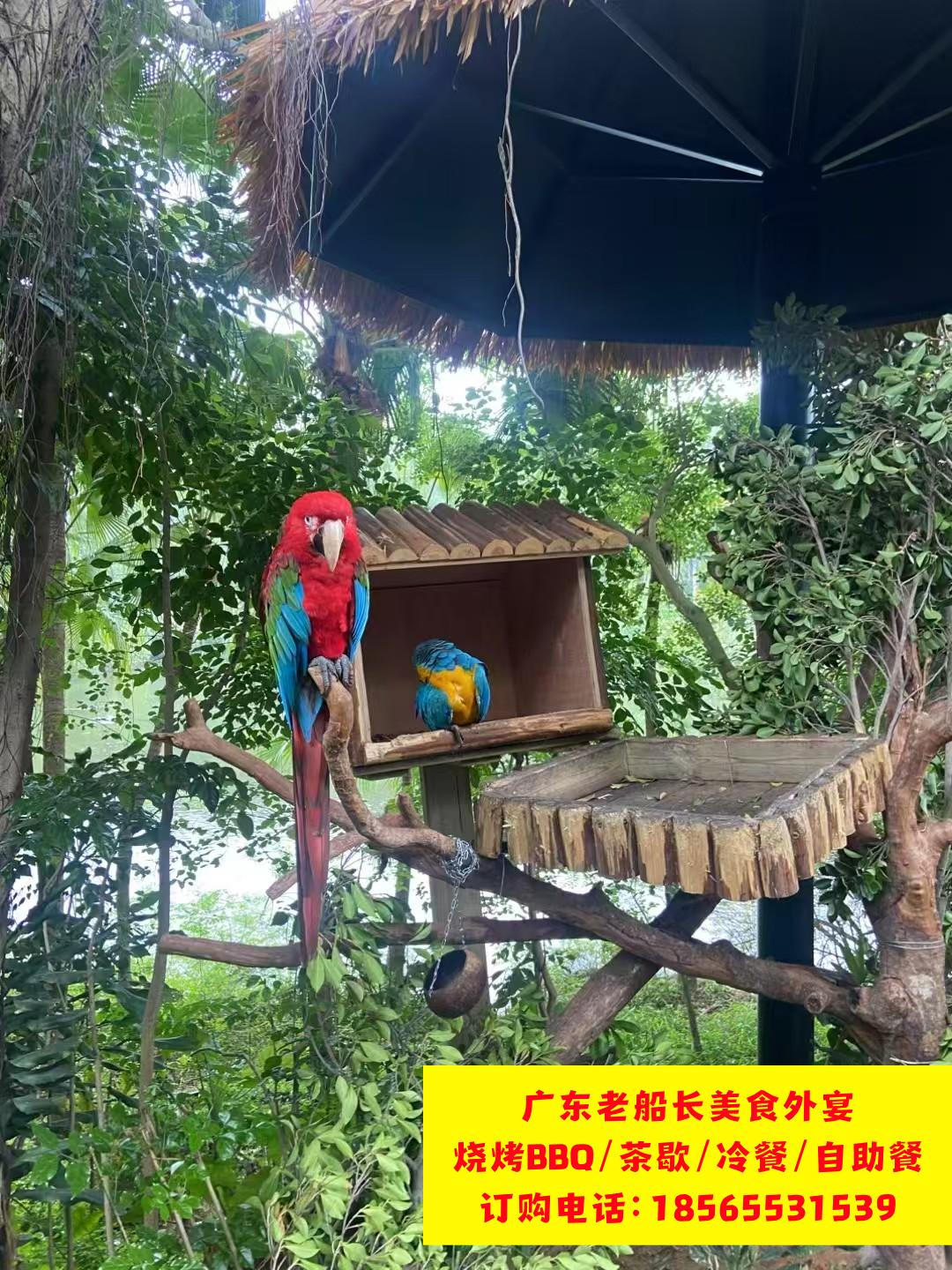 微信图片_20260223102024_593_17