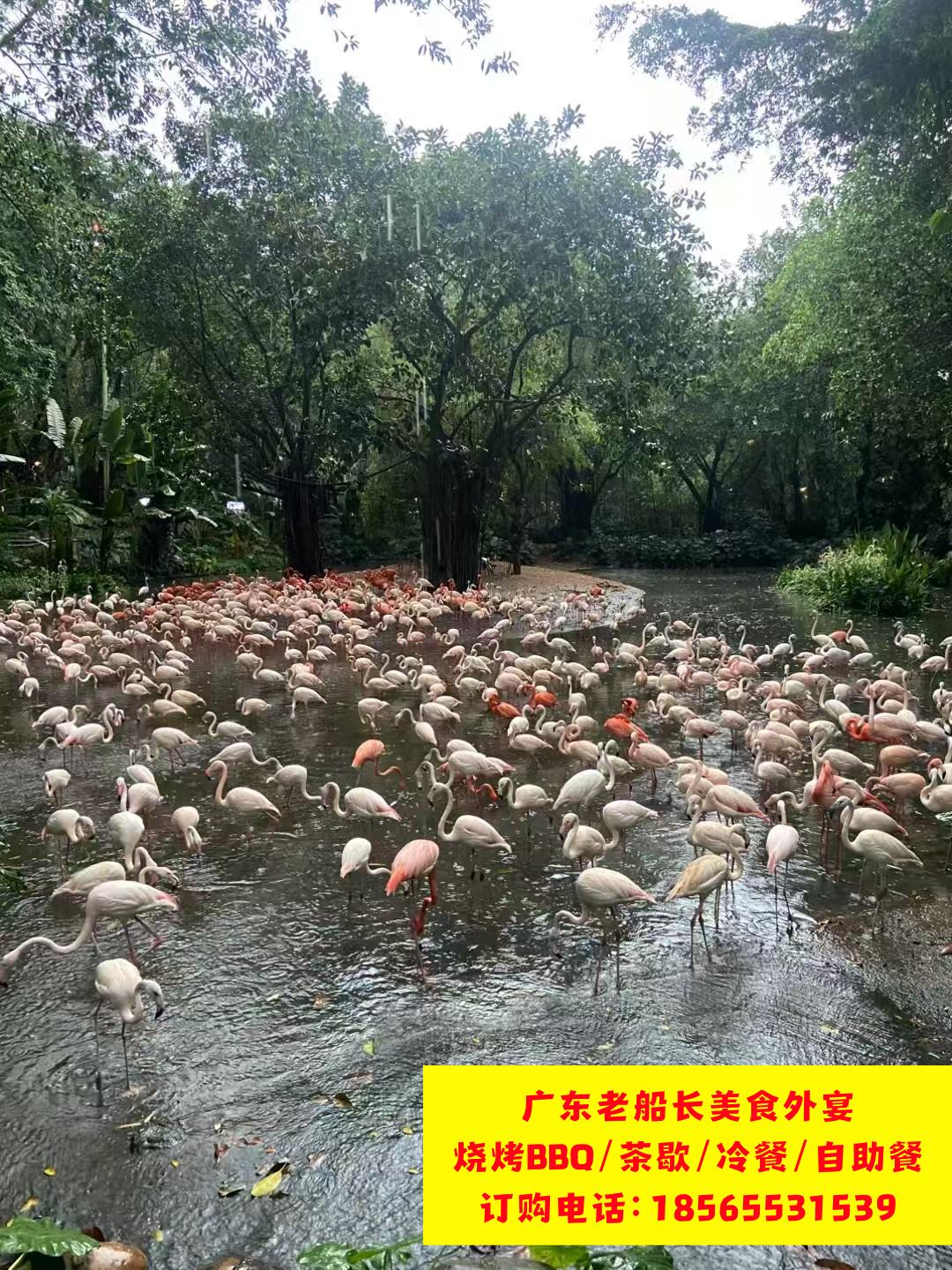 微信图片_20260223102032_595_17