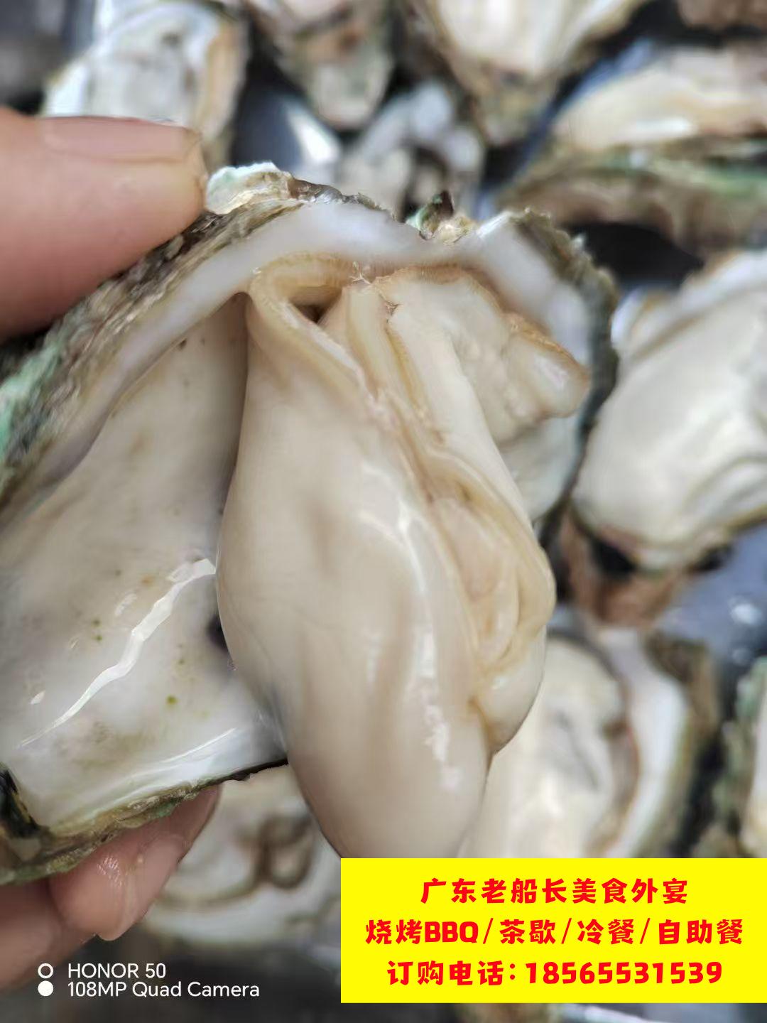 微信图片_20260314151721_438_46