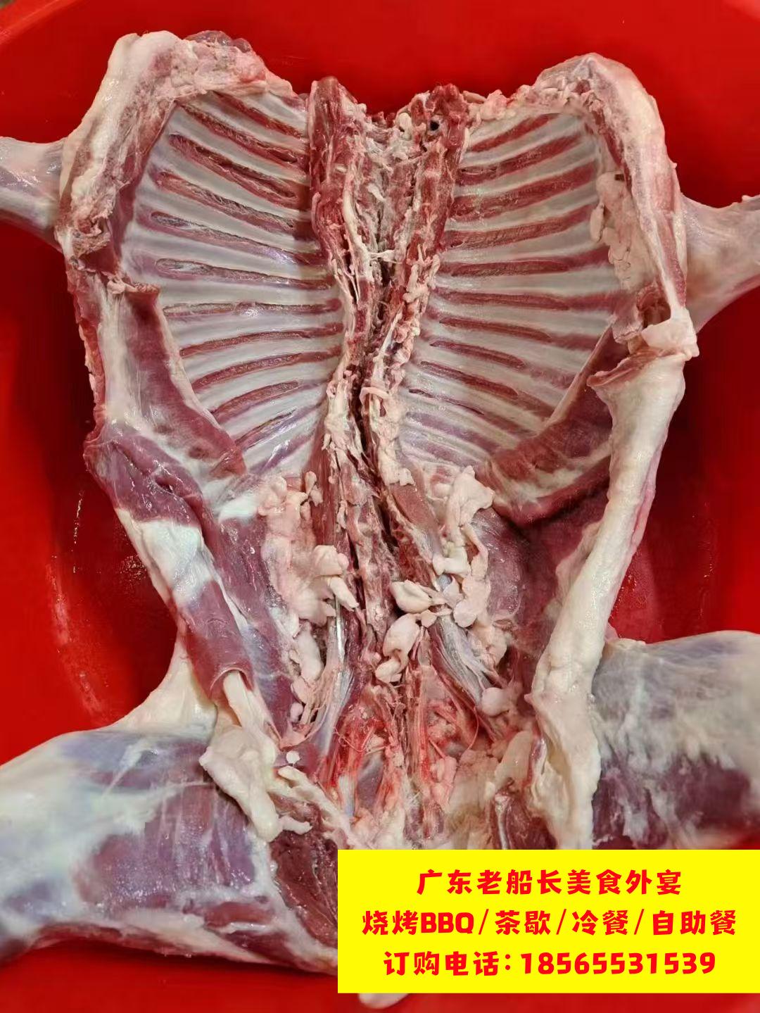 微信图片_20260314155234_459_46