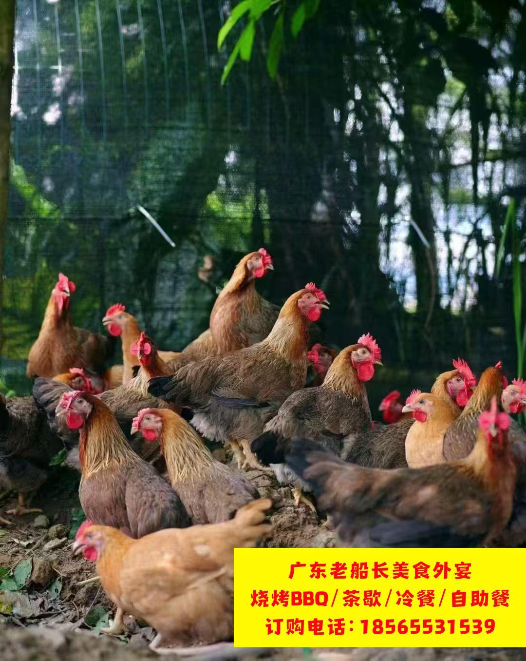 微信图片_20260403122837_917_17