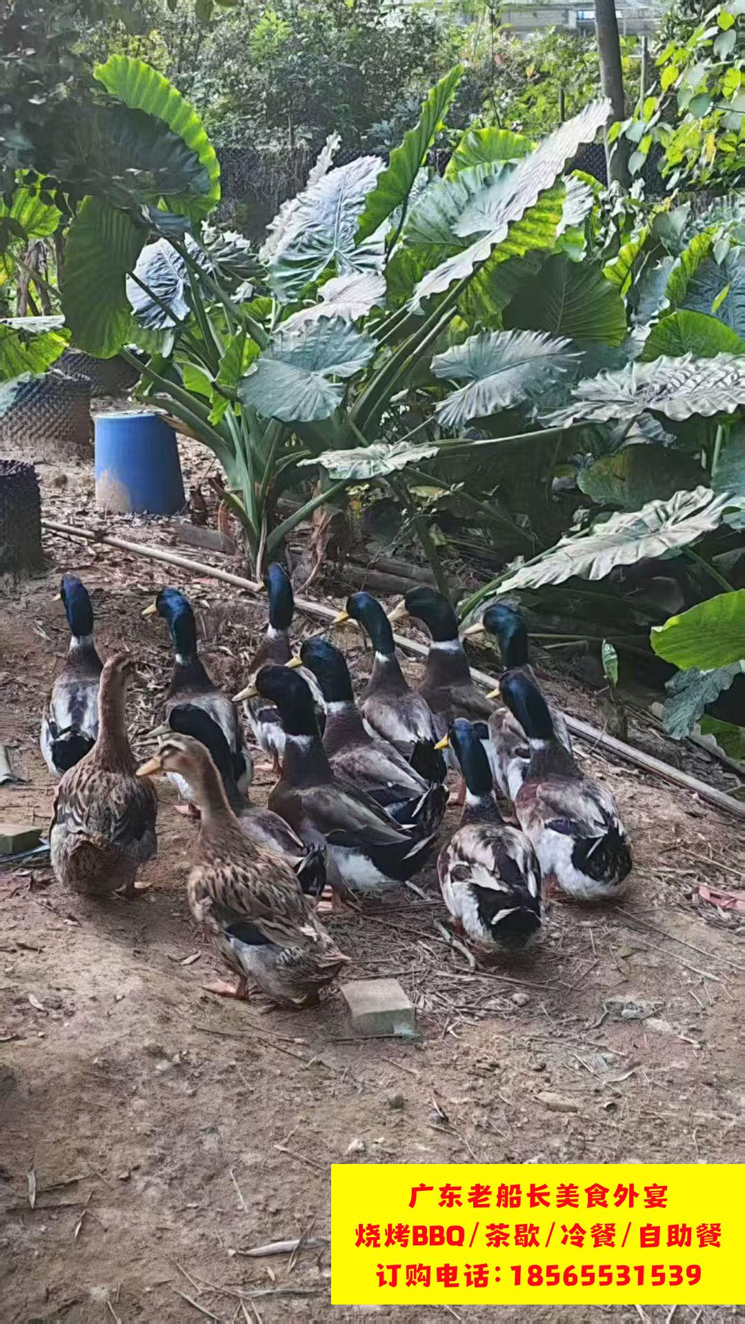 微信图片_20260403122841_918_17