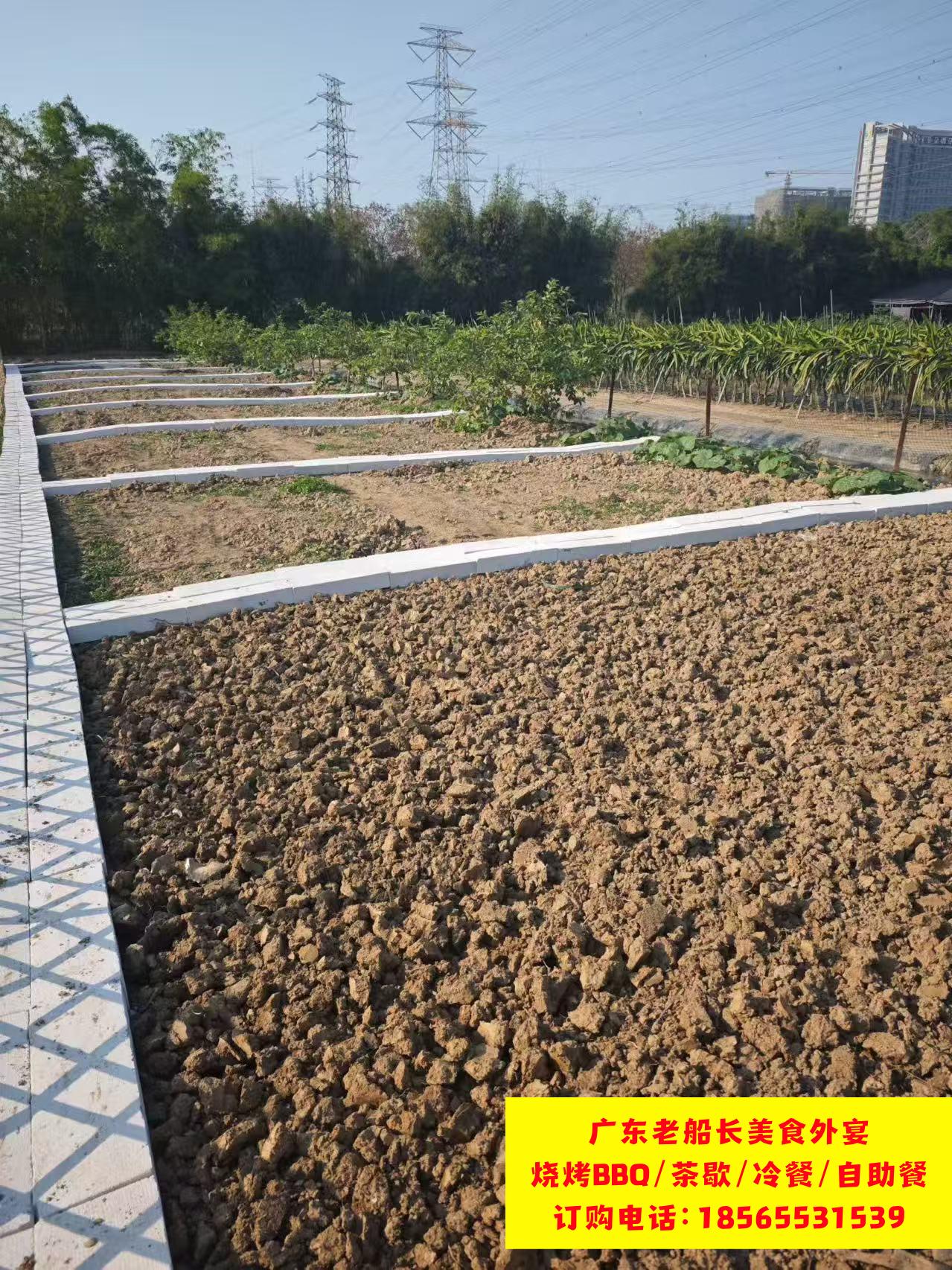 微信图片_20260414174447_947_46