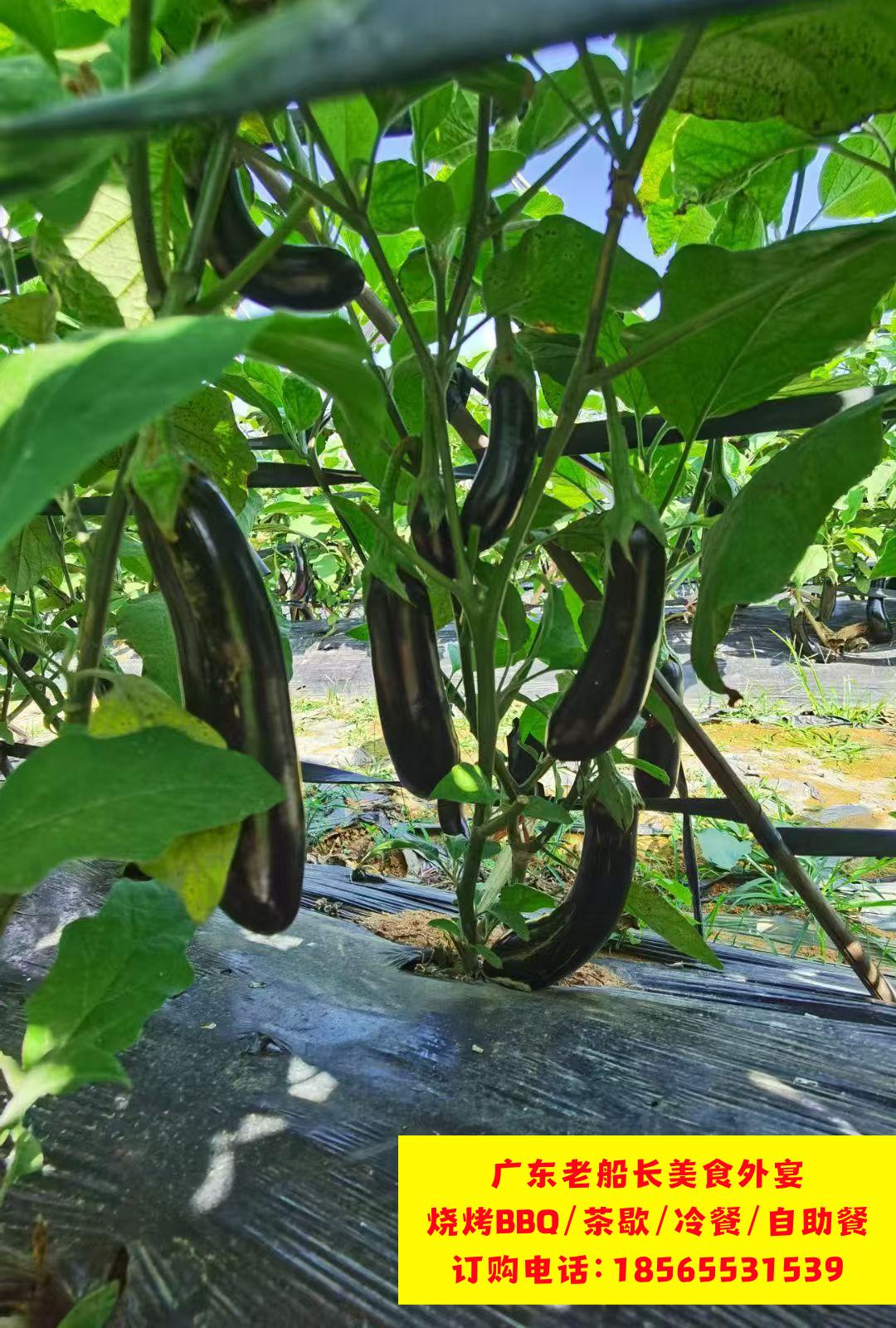 微信图片_20260422154623_1033_46