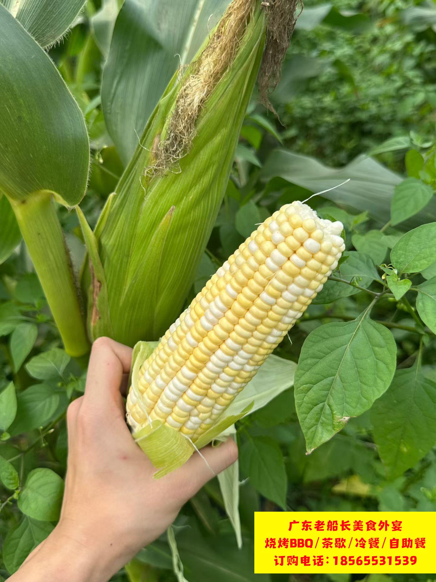 微信图片_20260422161144_1037_46