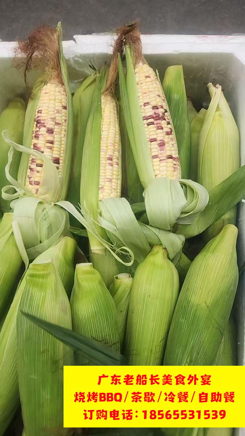 微信图片_20260422161532_589_26