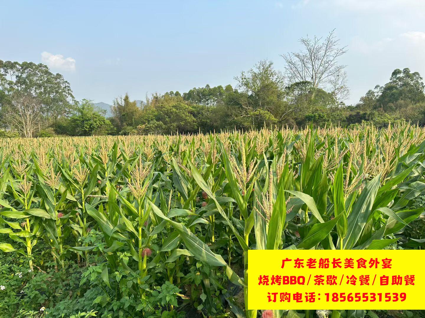 微信图片_20260422161211_1038_46