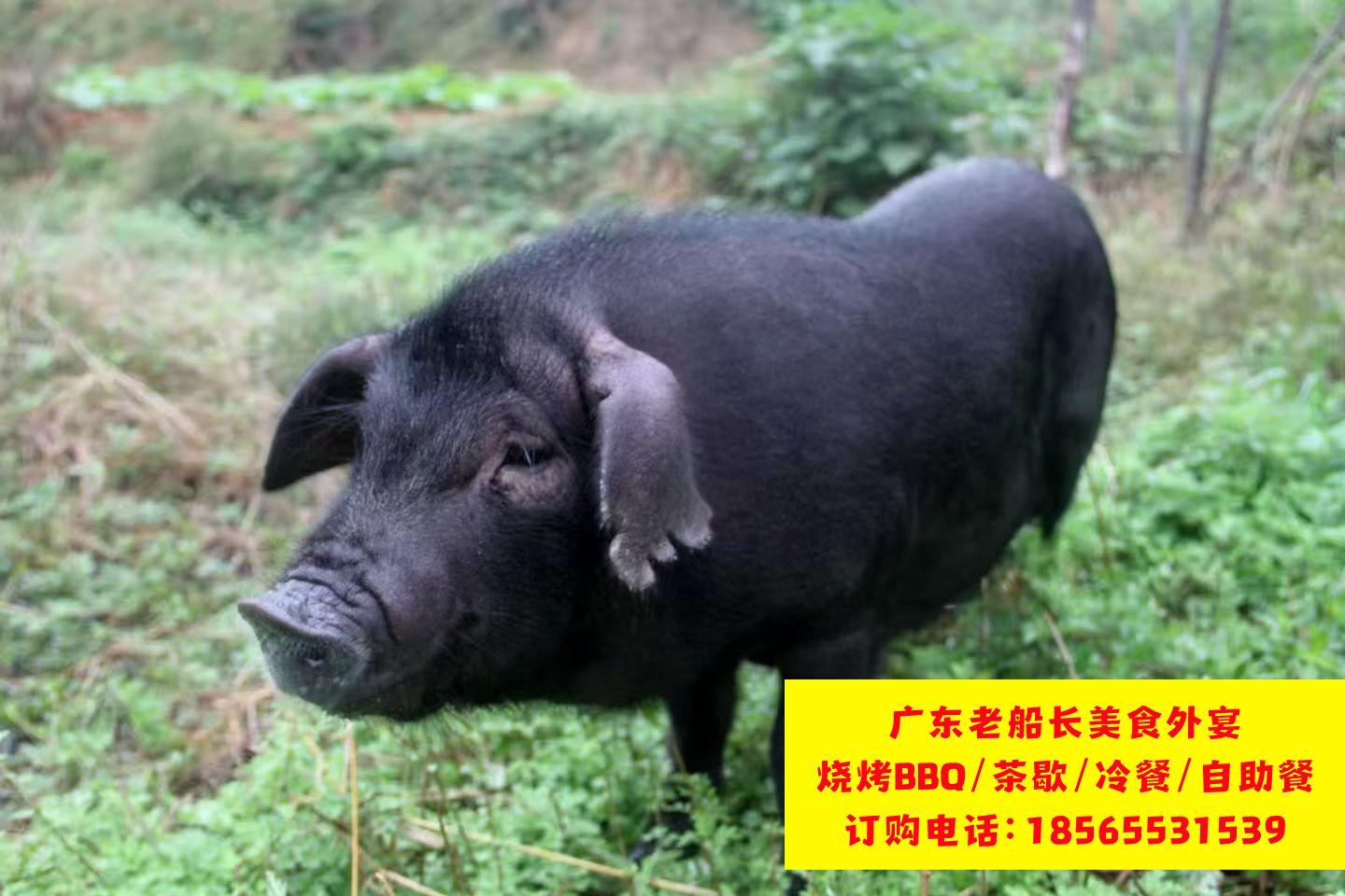 微信图片_20260517115312_957_17
